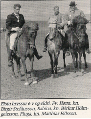 Eiðfaxi ágúst 1988